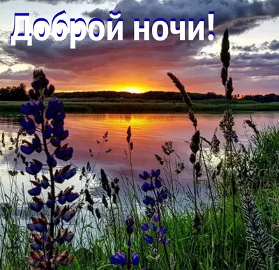 Добрый день природа #51