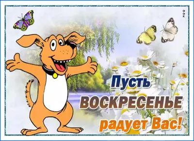 Доброе утро воскресенья картинки прикольные для девушки смешные (47 фото) »  Красивые картинки, поздравления и пожелания - 