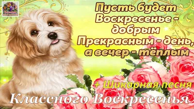 Добрый день! Воскресенье! на круглой…» — создано в Шедевруме