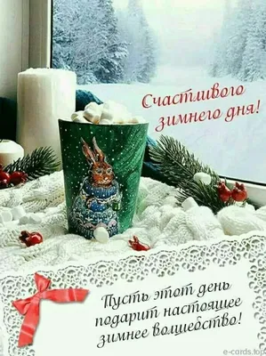 ПЯТЕРОЧКА покорила в самое сердце! Новогодняя сказка 2024 🎄 Не хуже ФИКС  ПРАЙС. Новинки Новый год | Океан Счастья | Дзен