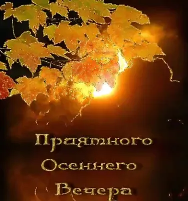 Картинки "Доброго осеннего вечера!" (102 шт.)