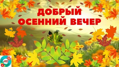 Доброго уютного вечера и хорошего настроения! Мира и добра!