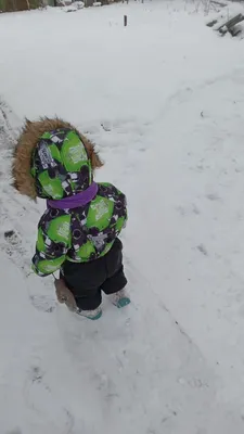 Зима вытряхивает оставшиеся снежные❄️ подушки🌨 | Мысли ПРО... 💬 | Дзен