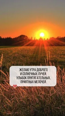 Зимние открытки "Доброго утра!" (236 шт.)