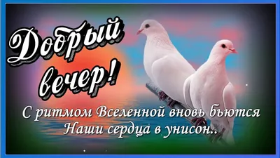 Картинки "Доброго вечера!" для мужчин (176 шт.)