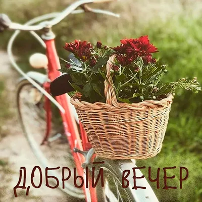 Красивые картинки "Доброго вечера!" (363 шт.)