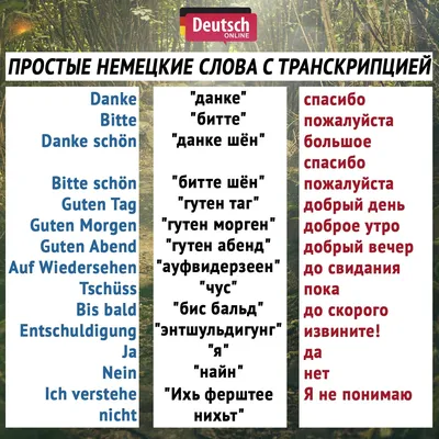 30 полезных фраз на немецком языке | Языки и путешествия вокруг света | Дзен