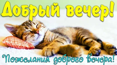 Добрый вечер, друзья! - Картинки пожелания доброго вечера друзьям - гифки,  прикольные открытки, фото, красивые стихи | Открытки, Картинки, Счастливые  картинки