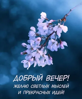 Картинки "Доброго весеннего вечера!" (185 шт.)