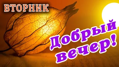 Хорошего вечера вторника картинки