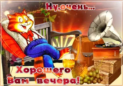 Картинки "Добрый вечер!" для мужчины (363 шт.)