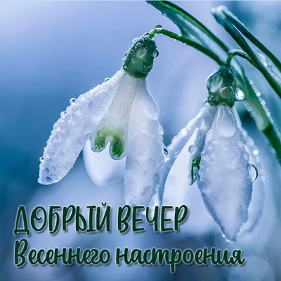 Доброго весеннего вечера понедельника! | Картинки луны, Картинки, Открытки