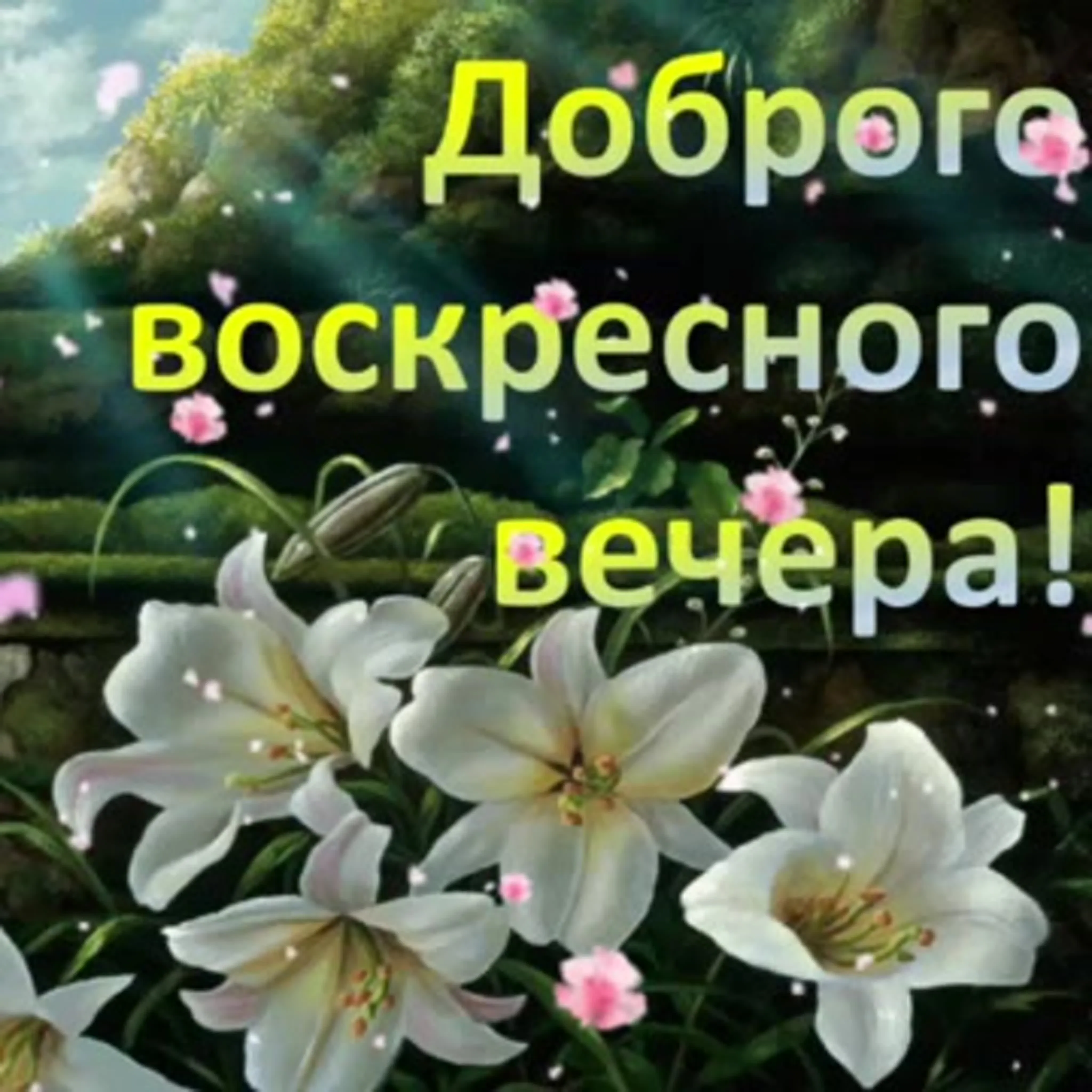 Воскресный вече