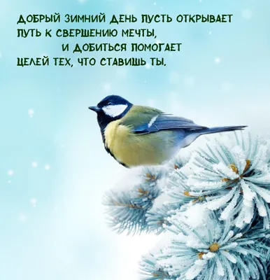 Картинки с надписями. Добрый зимний день пусть открывает путь к свершению  мечты.