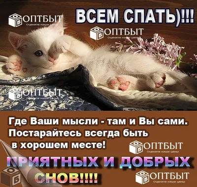 Открытки "Спокойной ночи" (110 картинок)