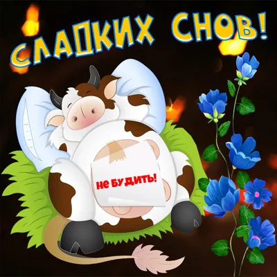 Прикольные картинки "Спокойной ночи!" (186 шт.)