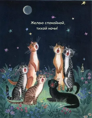 Спокойной ночи! Приятных снов! Красивое пожелание | Поздравляшки.  Видео-поздравления и футажи | Дзен