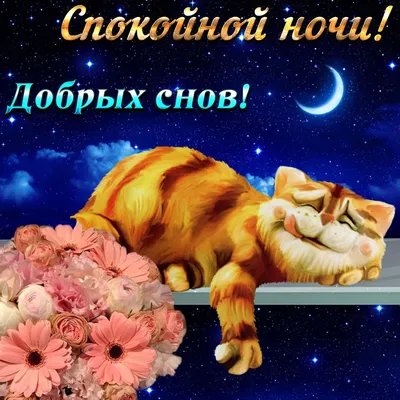 Картинка: Спокойной ночи! Добрых снов!