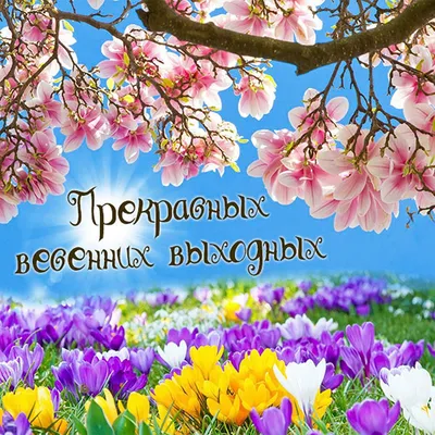 Картинки "Хороших выходных!" (754 шт.)