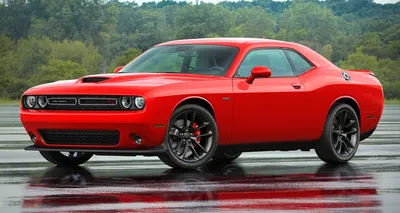 Dodge challenger картинки