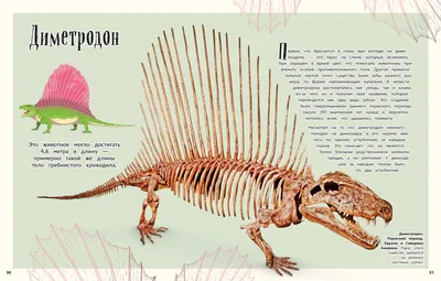 Динозавры и доисторические животные. Книги для детей Владис 10924107 купить  в интернет-магазине Wildberries