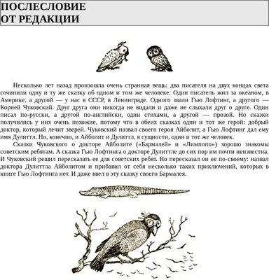 Волка готовили для боев с алабаями". Как "Айболит" из Есика спасает  животных | 