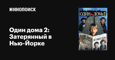 Футболка|Смешные фразы|Худею без буквы Д всю жизнь Каждому Своё Юмор  150544709 купить за 749 ₽ в интернет-магазине Wildberries