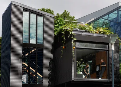 Проект дома будущего. Потрясающий стеклянный дом вокруг дерева - Новости  канала - Телеканал K1