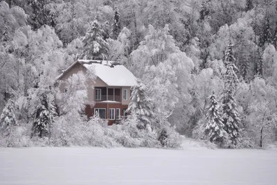 Как подготовить загородный дом к зиме: 20 советов | myDecor