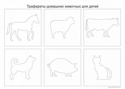 С Днем домашних животных | Домашнее животное, Животные, Собачий нос