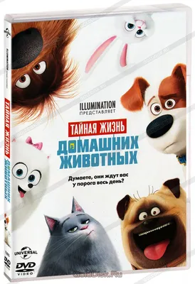 Тайная жизнь домашних животных (DVD) - купить мультфильм на DVD с  доставкой. The Secret Life of Pets GoldDisk - Интернет-магазин Лицензионных  DVD.