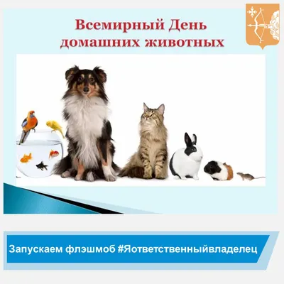 30 ноября День домашних животных | Управление ветеринарии Кировской области
