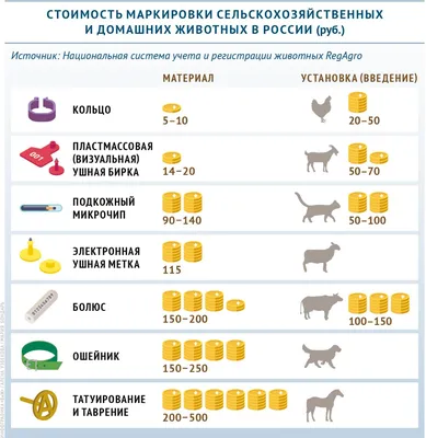 Всемирный день домашних животных