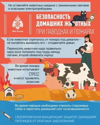 Книга Кладбище домашних животных. Уровень 4 - купить современной литературы  в интернет-магазинах, цены на Мегамаркет |