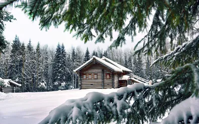 Пазл домик зимний в лесу - разгадать онлайн из раздела "Природа" бесплатно