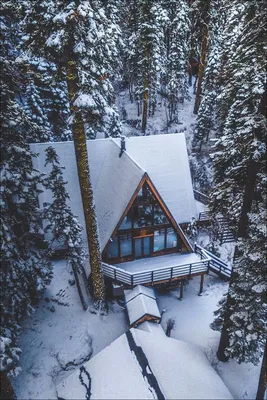 Домик в зимнем лесу - 75 фото