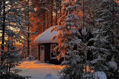 Домик в лесу зимой - 76 фото
