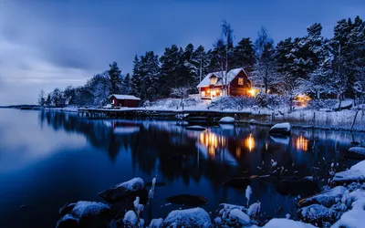 Уютный деревенский зимний домик в заснеженном лесу | Премиум Фото