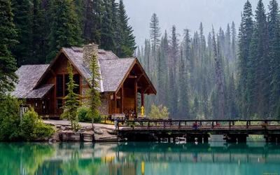 🌲 Снять домик в лесу в подмосковье 🌲