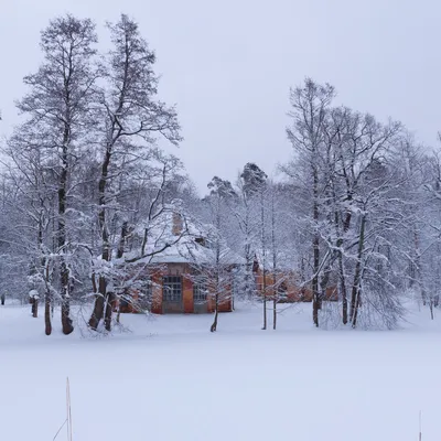 Лес вид домик в снегу. Photographer Holzakov Vyacheslav