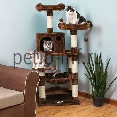 Домик когтеточка "Комфорт средний" для кошек купить ⋆ Pet БМФ-Интернет  зоомагазин официальный сайт