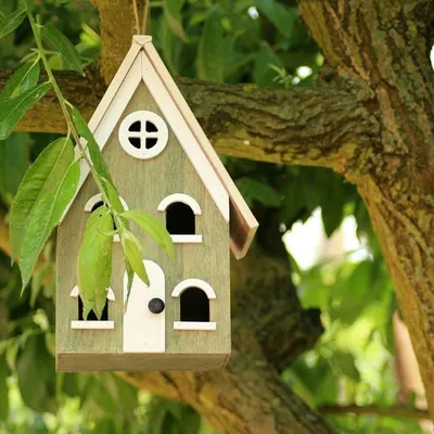Деревянные домики для птиц, уличная присоска, открытый домик для птиц с  окошком для дома и сада, контейнер для пищевых продуктов | AliExpress