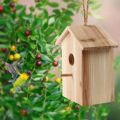Доступное жилье для птиц: Москвичам объяснили, как сделать домики для  синицы, дрозда и скворца