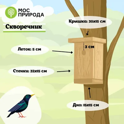 Домик для птиц с 6 отверстиями на улице, большие подвесные домики для птиц  на открытом воздухе, дизайн с 6 отверстиями | AliExpress