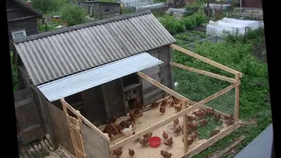 Птичьи домики – Школа-сад «Развитие»