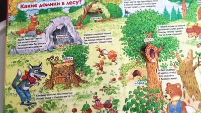 Книжки - картонки (бол). Удивительные дома животных - купить с доставкой по  Москве и РФ по низкой цене | Официальный сайт издательства Робинс