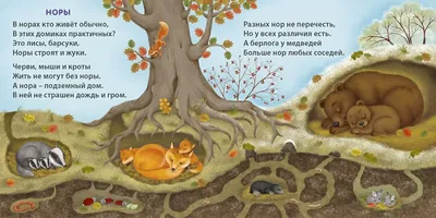 Удивительные дома животных. Книжки – картонки