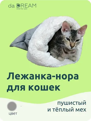 Купить Уличные водонепроницаемые домики для кошек и собак, зимняя палатка,  крытое и уличное морозостойкое гнездо для маленьких и средних домашних  животных | Joom