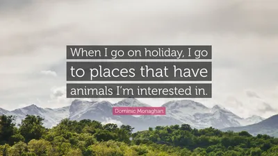 Доминик Монаган цитата: «Когда я отправляюсь в отпуск, я езжу в места, где водятся животные».