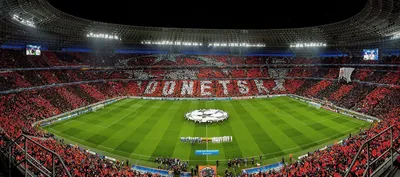 Donbas Arena' Stadium – Ukrainian Institute